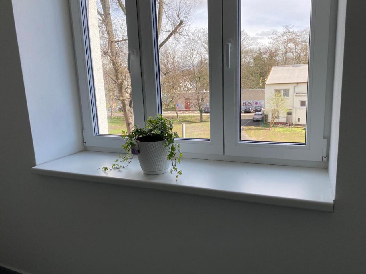 Appartamento Perla Hradce Hradec Králové Esterno foto